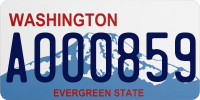 WA license plate AOO0859
