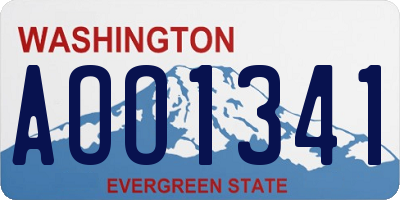 WA license plate AOO1341