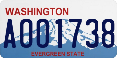 WA license plate AOO1738