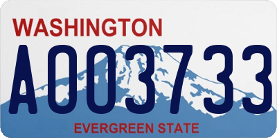 WA license plate AOO3733
