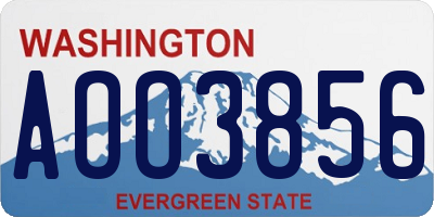 WA license plate AOO3856
