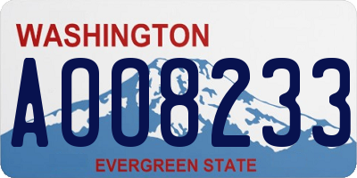 WA license plate AOO8233
