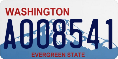 WA license plate AOO8541