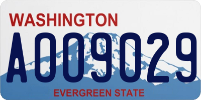 WA license plate AOO9029