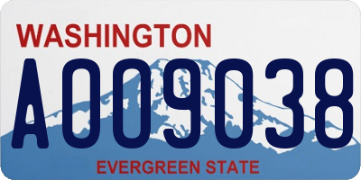 WA license plate AOO9038