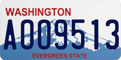 WA license plate AOO9513