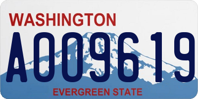 WA license plate AOO9619