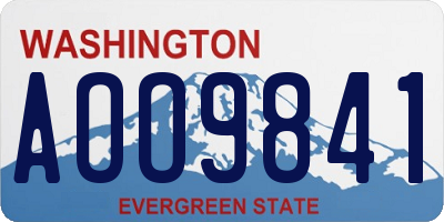 WA license plate AOO9841