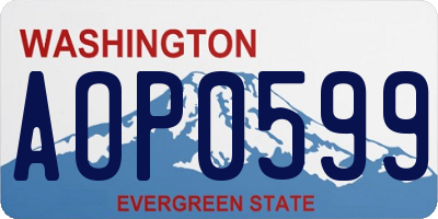 WA license plate AOP0599