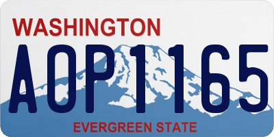 WA license plate AOP1165