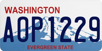 WA license plate AOP1229