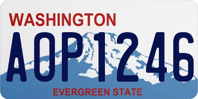 WA license plate AOP1246