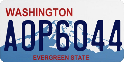 WA license plate AOP6044