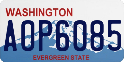 WA license plate AOP6085