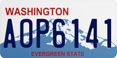 WA license plate AOP6141