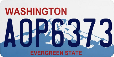 WA license plate AOP6373