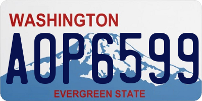 WA license plate AOP6599