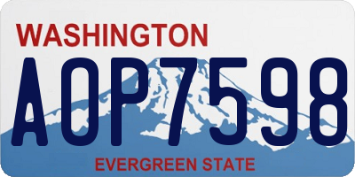 WA license plate AOP7598