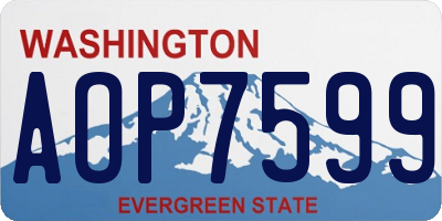 WA license plate AOP7599