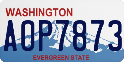 WA license plate AOP7873