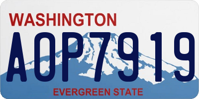 WA license plate AOP7919