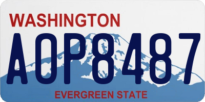 WA license plate AOP8487