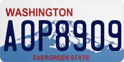 WA license plate AOP8909