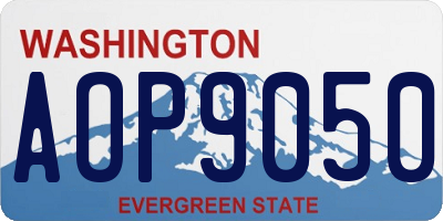 WA license plate AOP9050