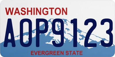 WA license plate AOP9123