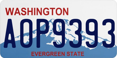 WA license plate AOP9393