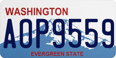 WA license plate AOP9559