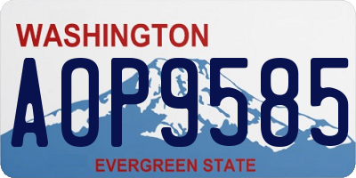 WA license plate AOP9585
