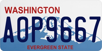 WA license plate AOP9667