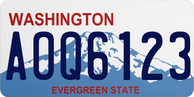 WA license plate AOQ6123