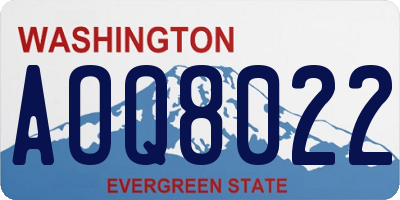 WA license plate AOQ8022