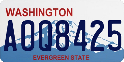 WA license plate AOQ8425
