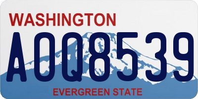 WA license plate AOQ8539