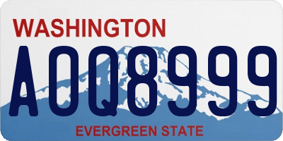 WA license plate AOQ8999