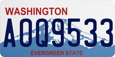 WA license plate AOQ9533