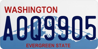 WA license plate AOQ9905
