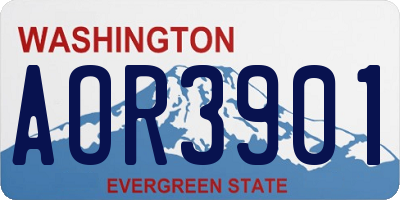 WA license plate AOR3901