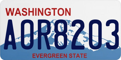 WA license plate AOR8203