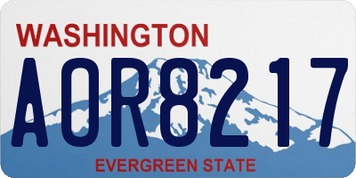 WA license plate AOR8217