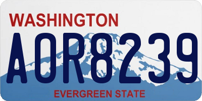 WA license plate AOR8239