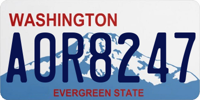 WA license plate AOR8247