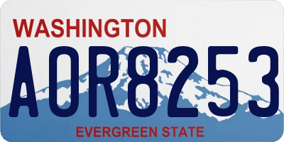 WA license plate AOR8253