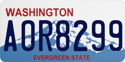 WA license plate AOR8299