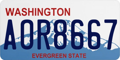 WA license plate AOR8667