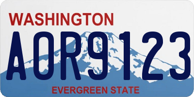 WA license plate AOR9123