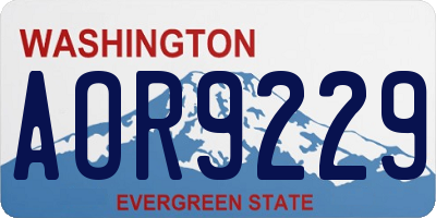 WA license plate AOR9229